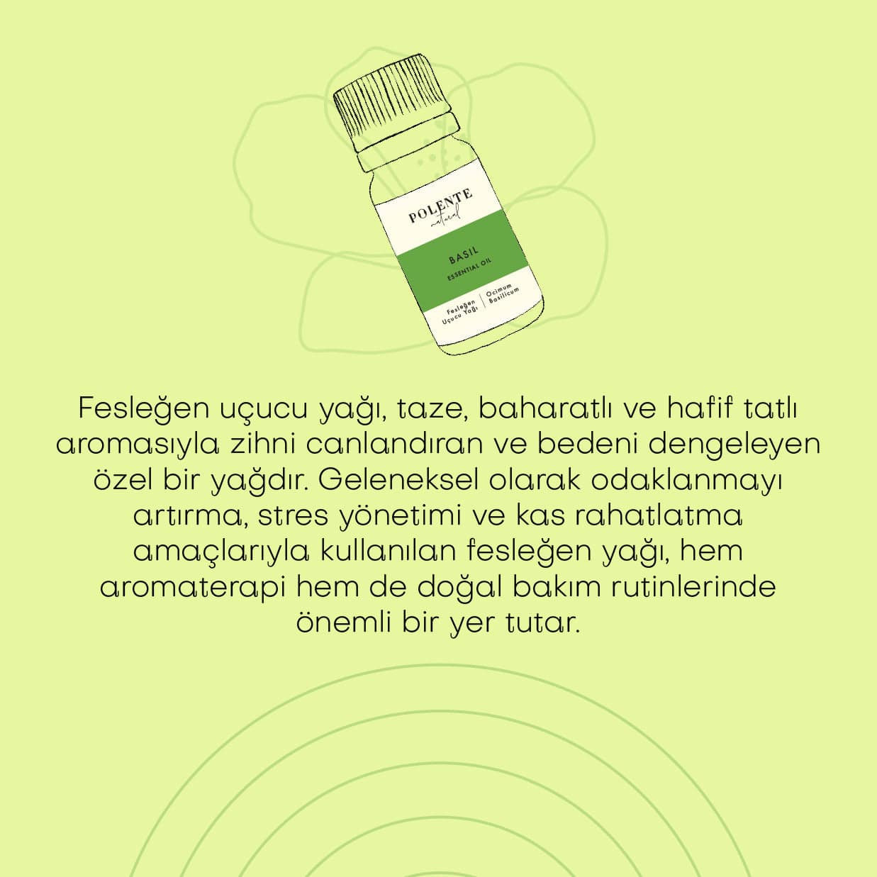 Fesleğen Uçucu Yağı  (10 ml)