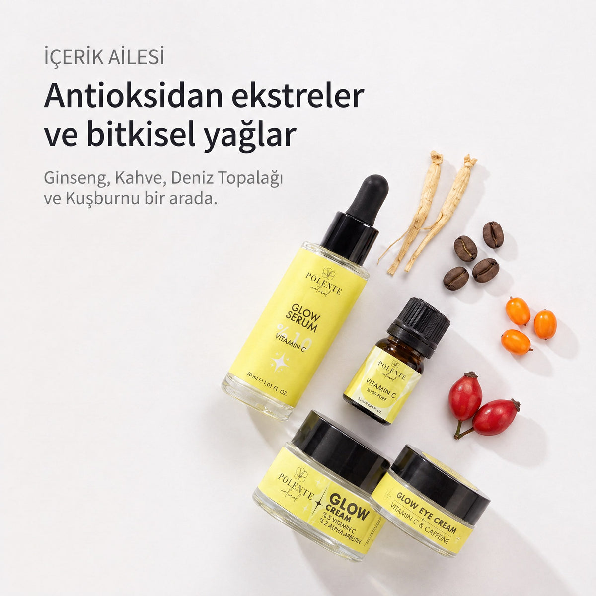 GLOW SERİSİ BAKIM SETİ — Antioksidan ekstreler ve bitkisel yağlar