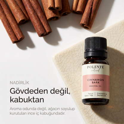 Tarçın Uçucu Yağı 10 ml — aroma gövdede değil, soyulup kurutulan ince iç kabukta