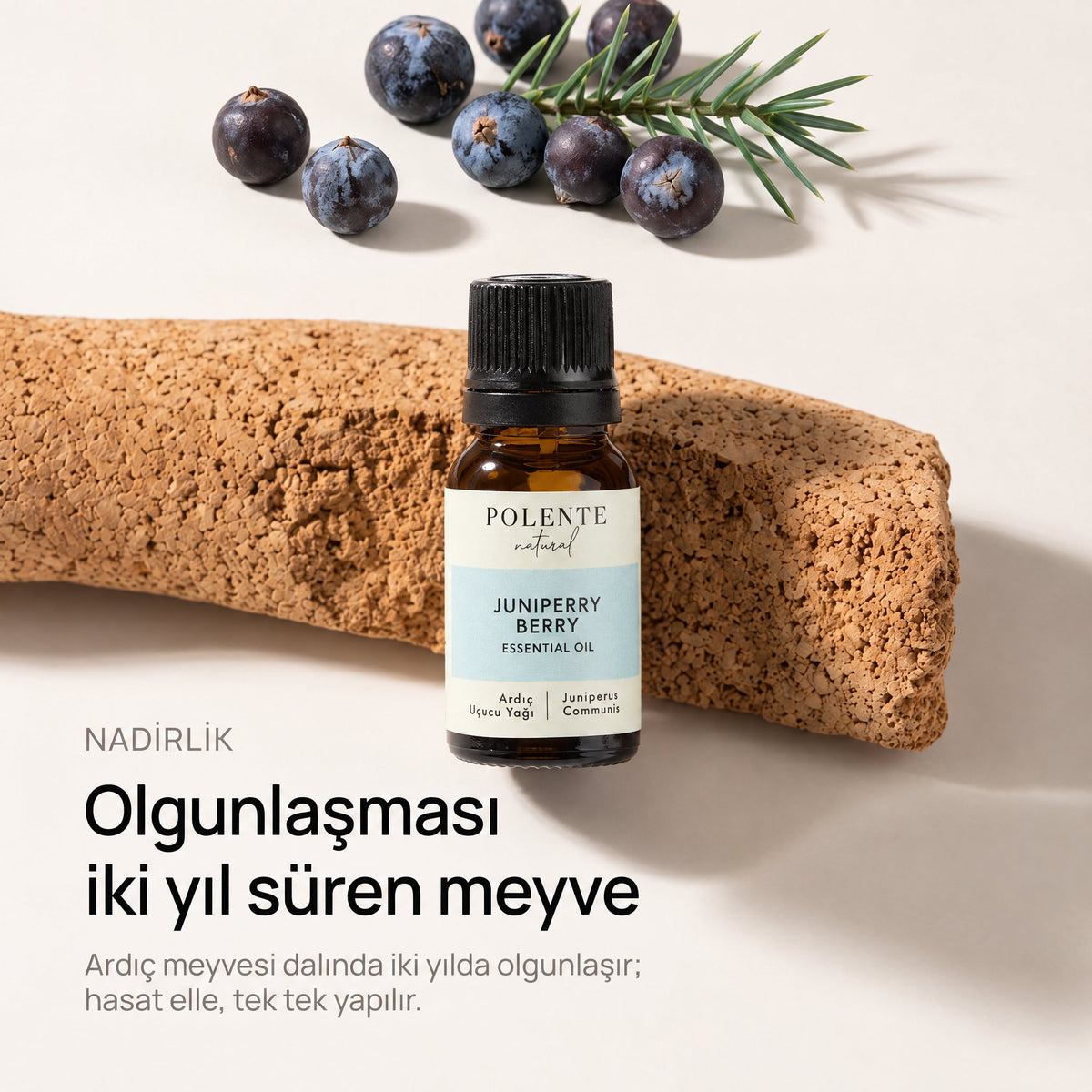 Ardıç Uçucu Yağı 10 ml — dalında iki yılda olgunlaşan, elle toplanan ardıç meyvesi