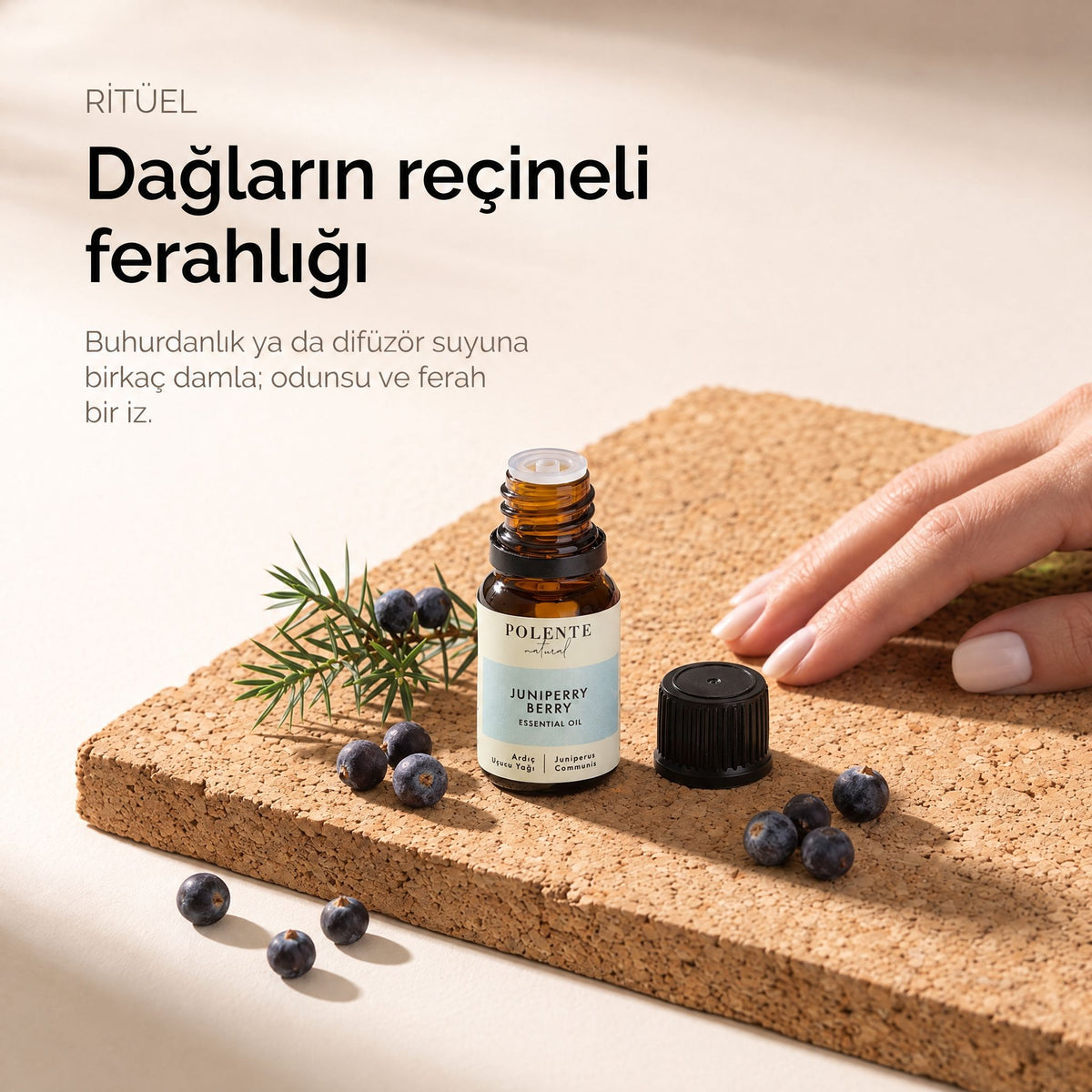 Ardıç Uçucu Yağı 10 ml — mantar levha üzerinde ritüel kurulumu; dağların reçineli ferahlığı