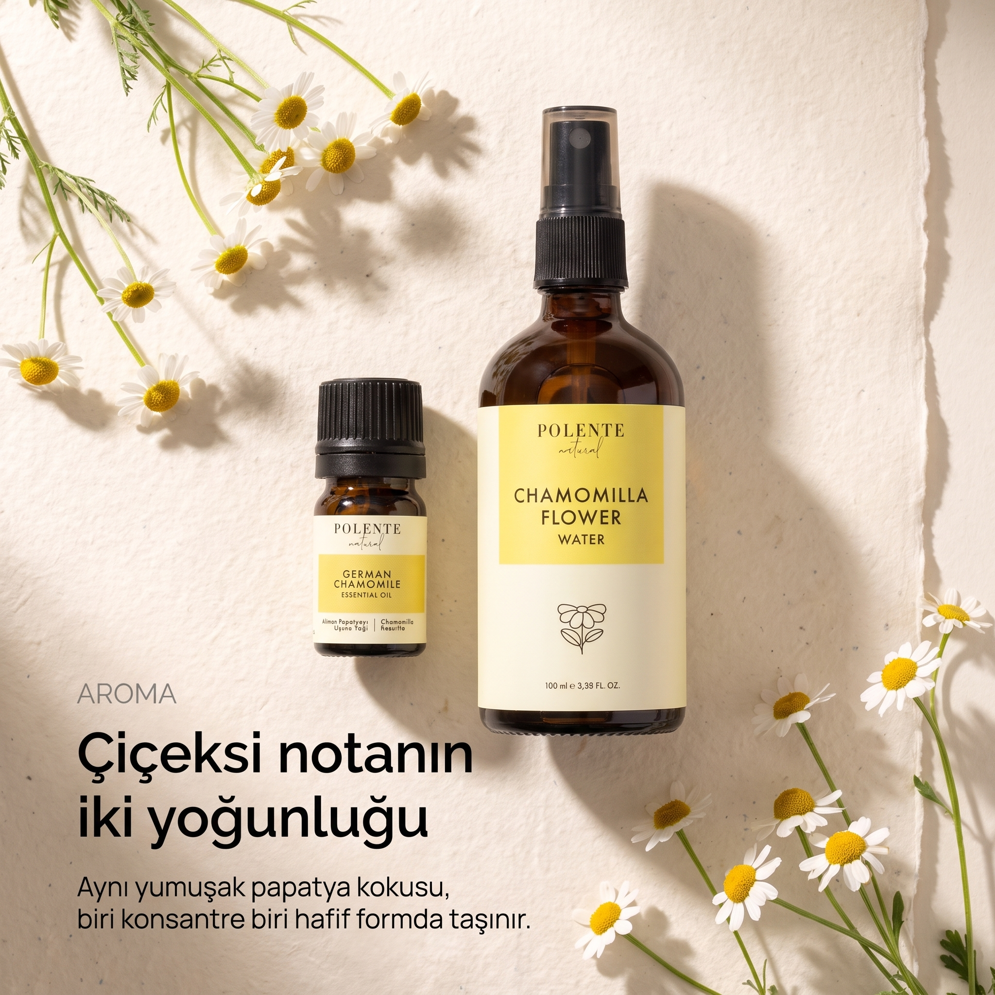 Papatya Uçucu Yağı &amp; Papatya Suyu Seti — Alman papatyası aromasının iki yoğunluğu, konsantre yağ ve hafif su