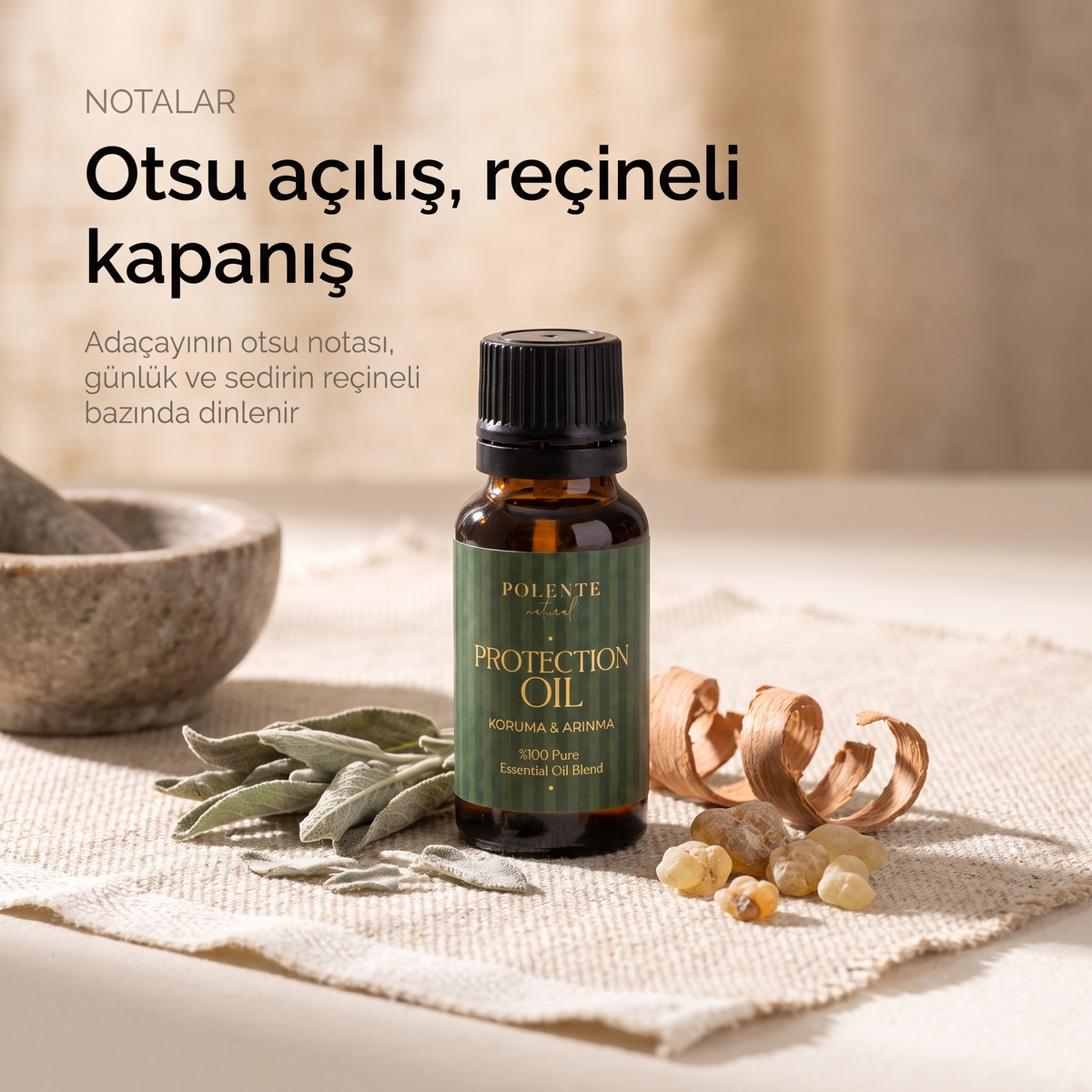 Koruma &amp; Arınma Karışımı nota yapısı — otsu adaçayı açılışı, reçineli günlük ve sedir bazı