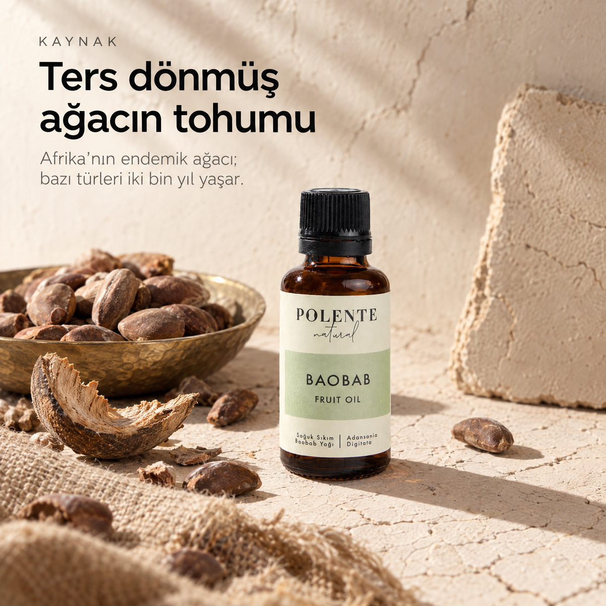 Baobab Yağı 30 ml — yağın kaynağı: kadifemsi baobab tohumları ve kuru meyve kabuğu