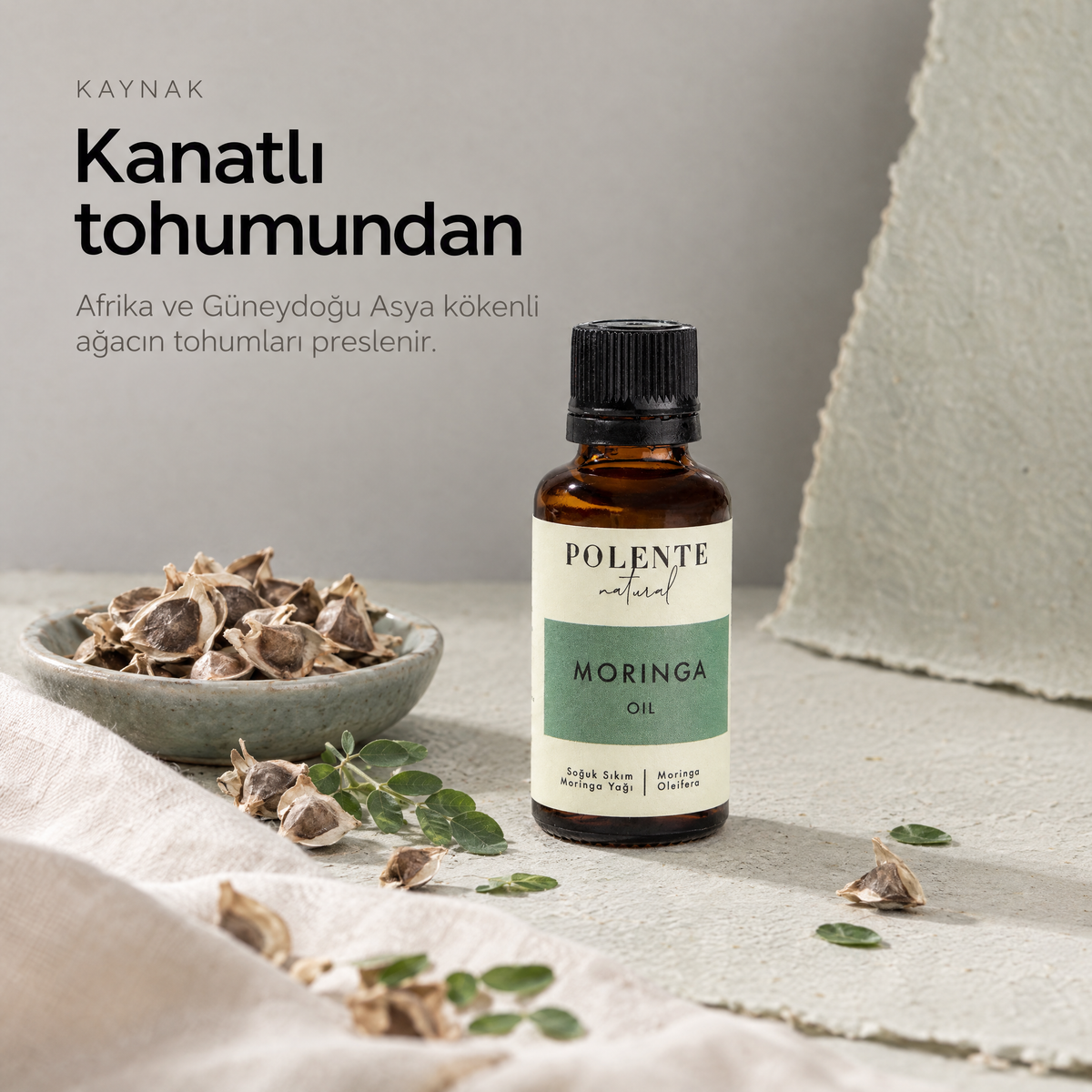 Moringa Yağı 30 ml — yağın kaynağı: kanatlı moringa tohumları ve yaprakçıkları