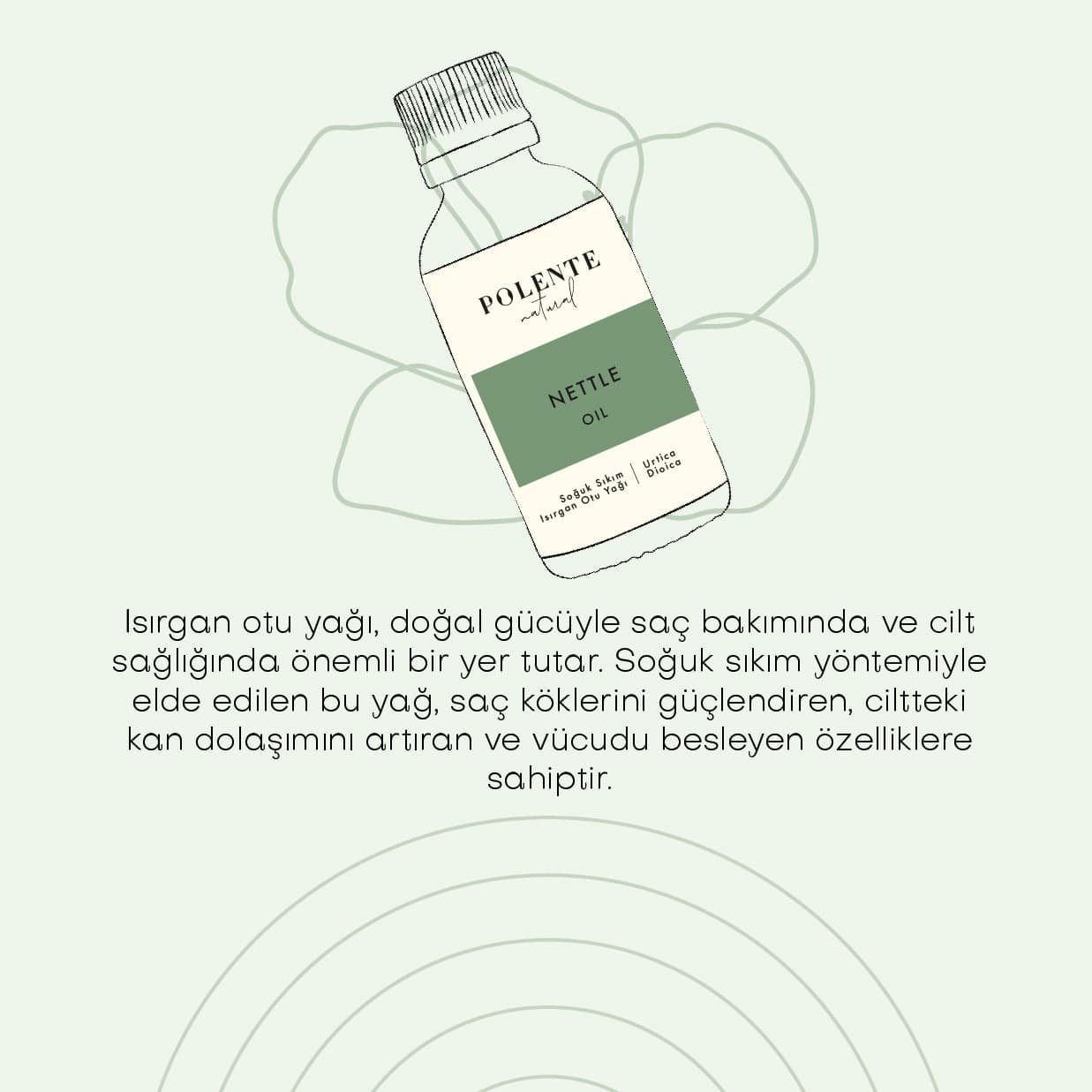 Isırgan Otu Yağı - Soğuk Sıkım (50 ml)