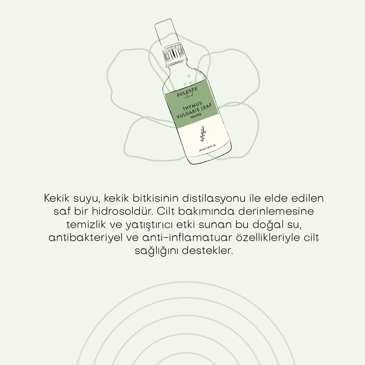 Kekik Suyu  - %100 Saf Hidrosol (100 ml)