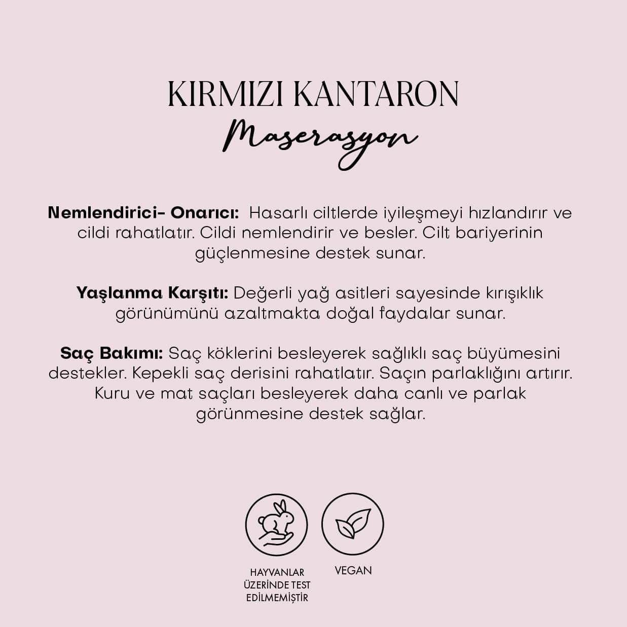 Kırmızı Kantaron Yağı - Zeytin Maserasyon (50 ml)