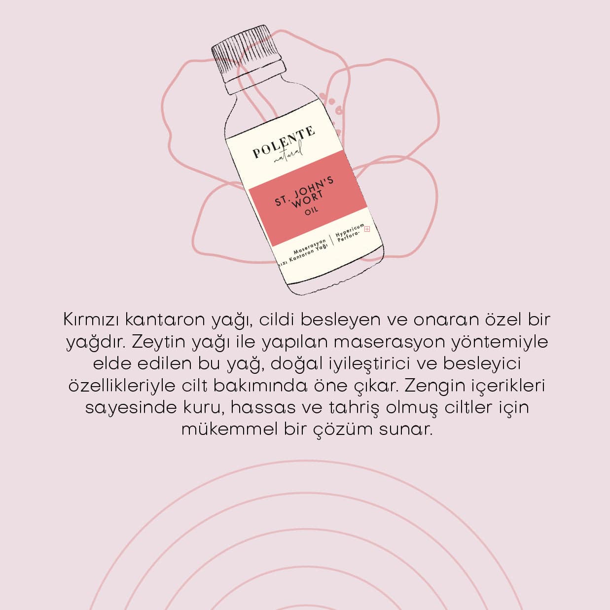 Kırmızı Kantaron Yağı - Zeytin Maserasyon (50 ml)