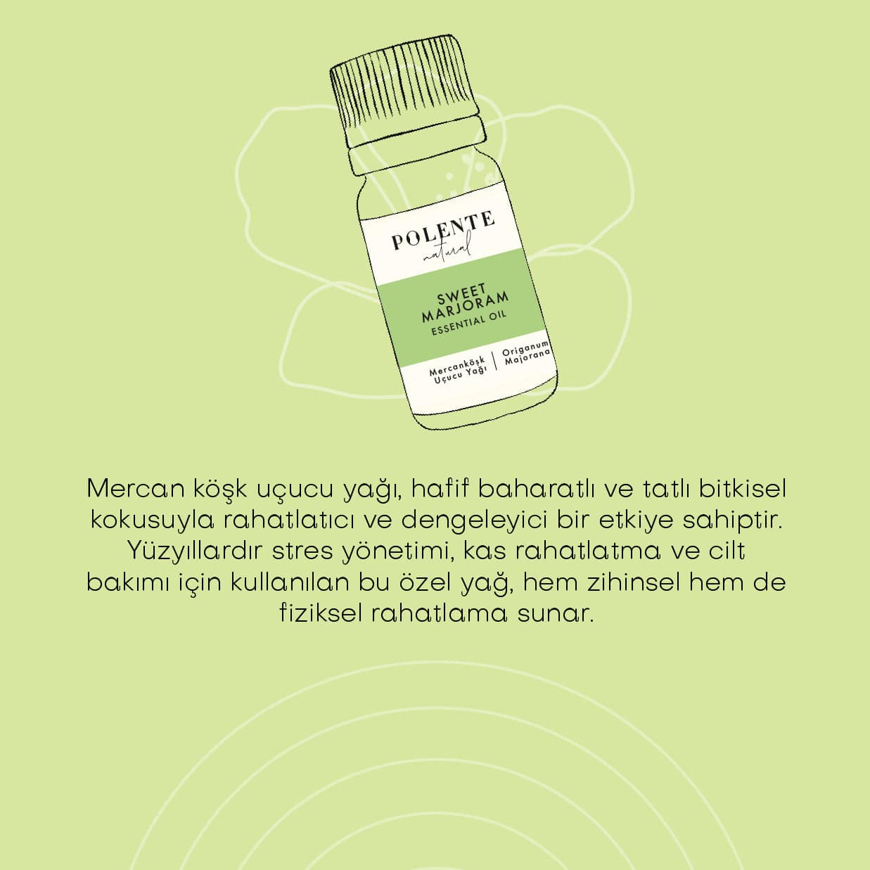 Mercanköşk Uçucu Yağı (5 ml)