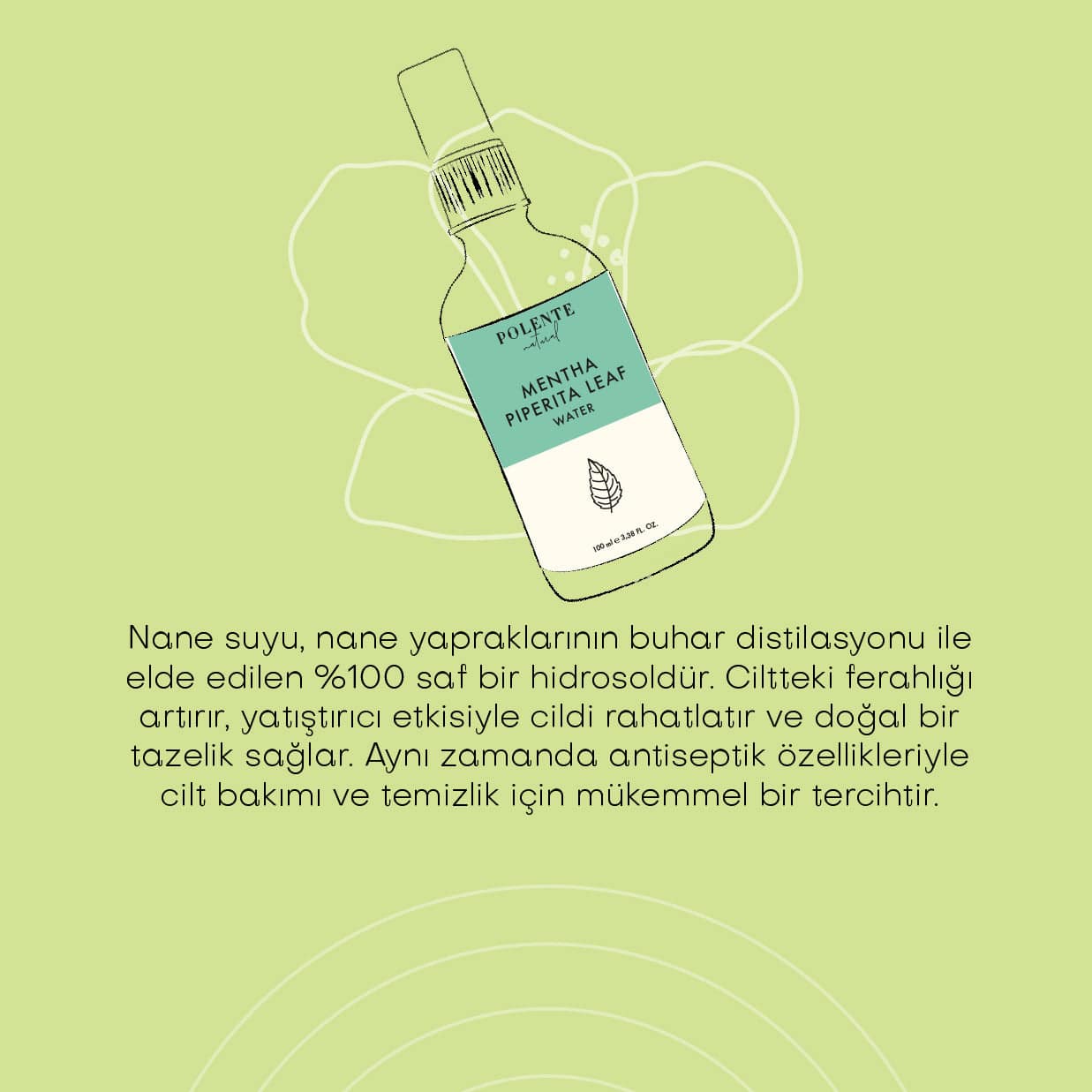 Nane Suyu -  %100 Saf Hidrosol (100 ml)