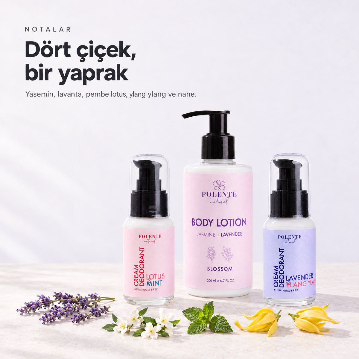 BLOOM RITUAL notaları — yasemin, lavanta, pembe lotus, ylang ylang ve nane