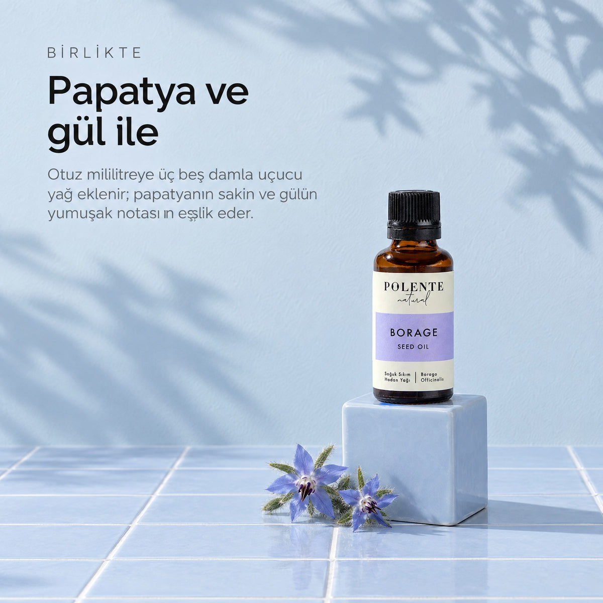 Borage (Hodan) Yağı 30 ml — papatya ve gül ile