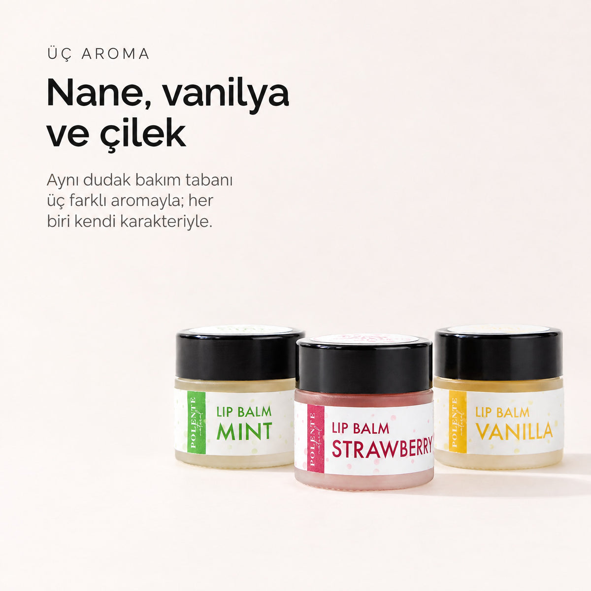Çilekli Lip Balm 10 ml — Nane, vanilya ve çilek