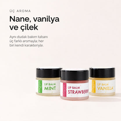 Çilekli Lip Balm 10 ml — Nane, vanilya ve çilek