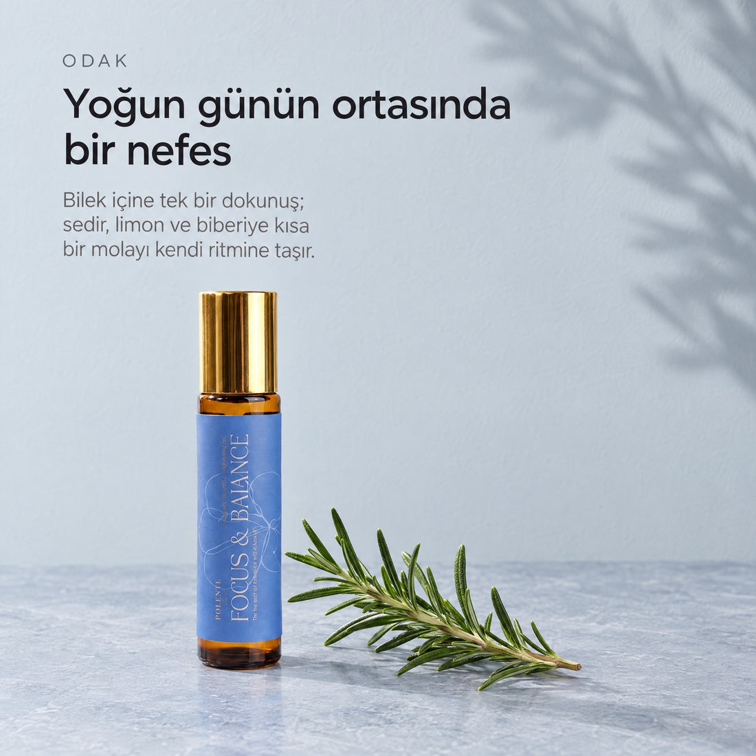 FOCUS & BALANCE Aromaterapik Masaj Yağı 10 ml — yoğun günün ortasında bir nefes