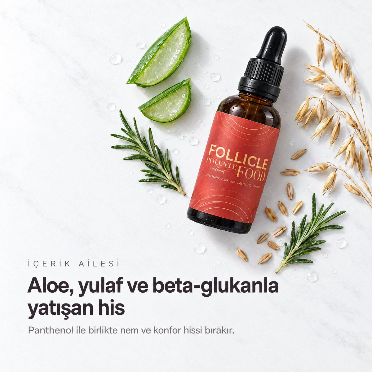 Follicle Food Saç Kökü Serumu 50 ml — aloe vera, yulaf, beta-glukan ve biberiye