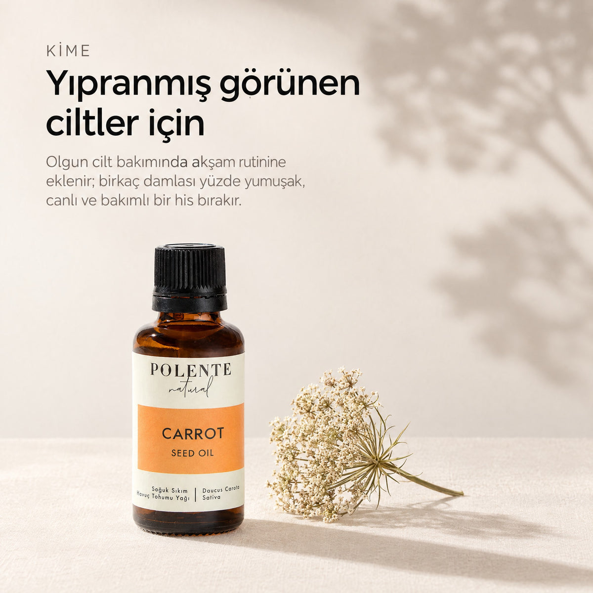 Havuç Tohumu Yağı 30 ml — yıpranmış görünen ciltler için