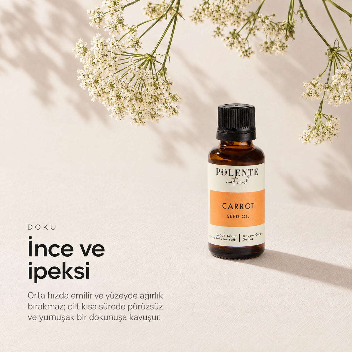 Havuç Tohumu Yağı 30 ml — ince ve ipeksi doku, yabani havuç çiçekleriyle