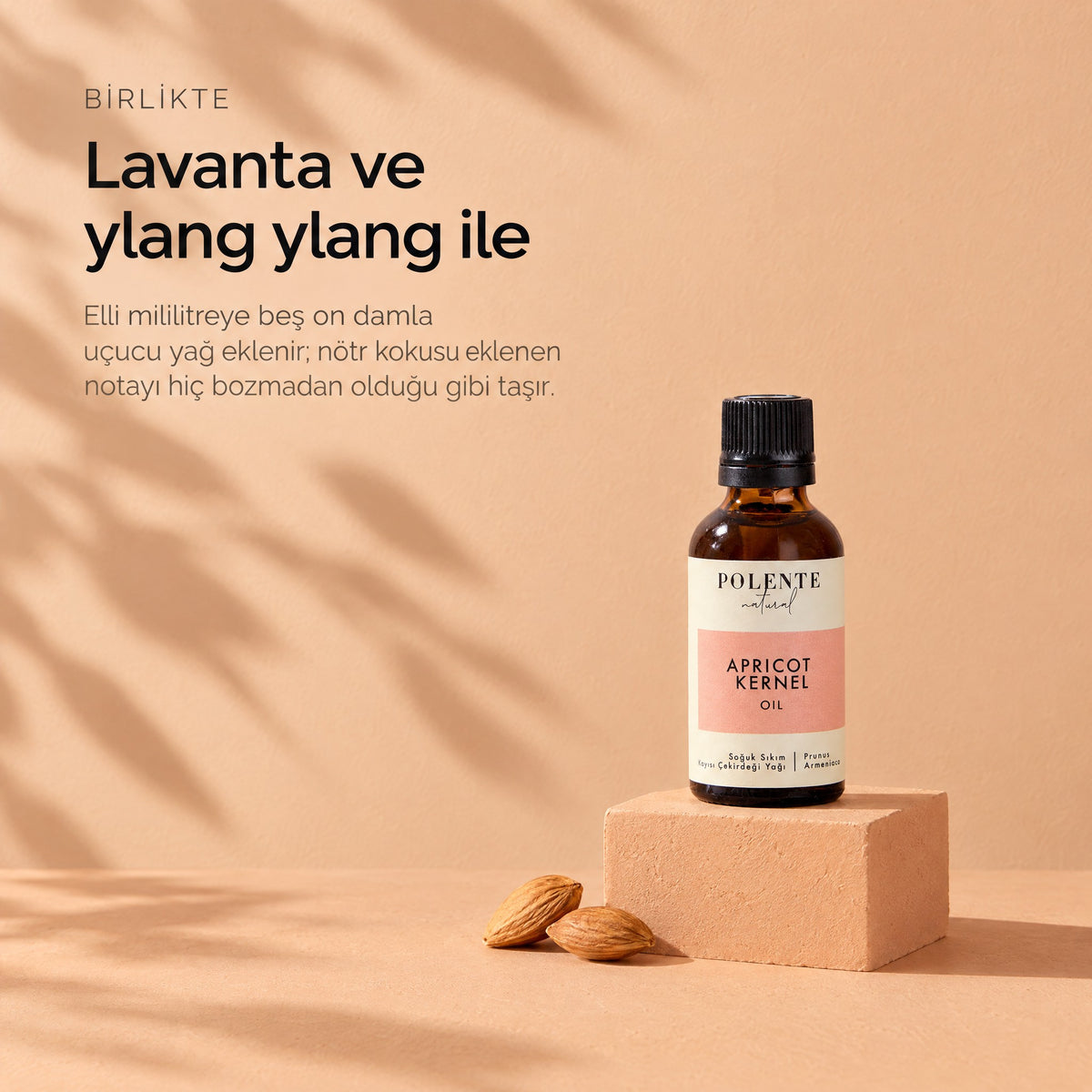 Kayısı Çekirdeği Yağı 50 ml — lavanta ve ylang ylang ile