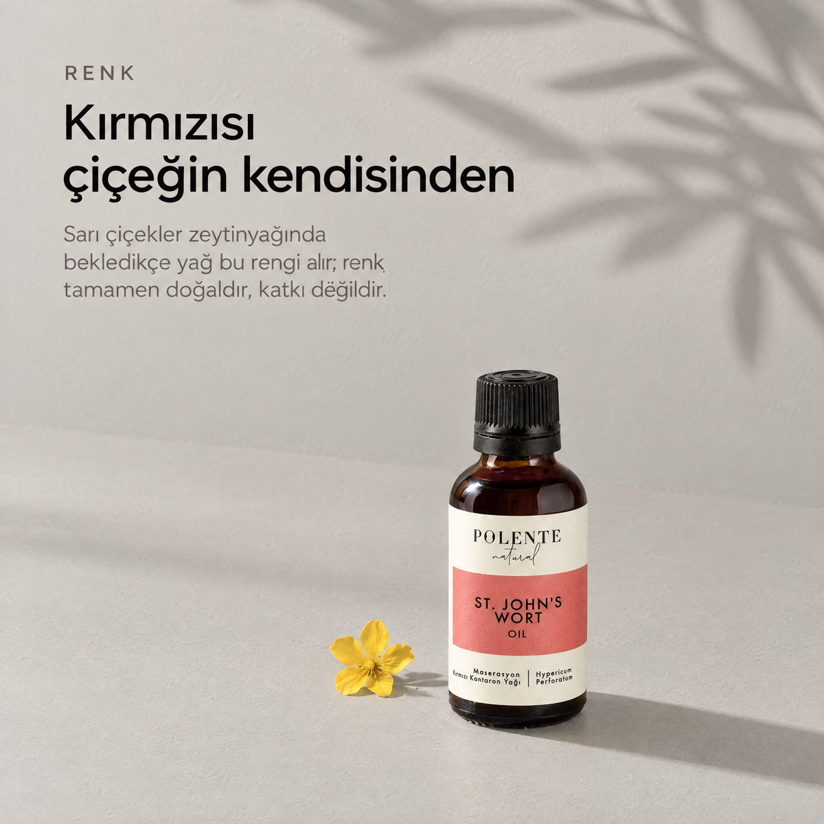 Kırmızı Kantaron Yağı 50 ml — kırmızısı çiçeğin kendisinden