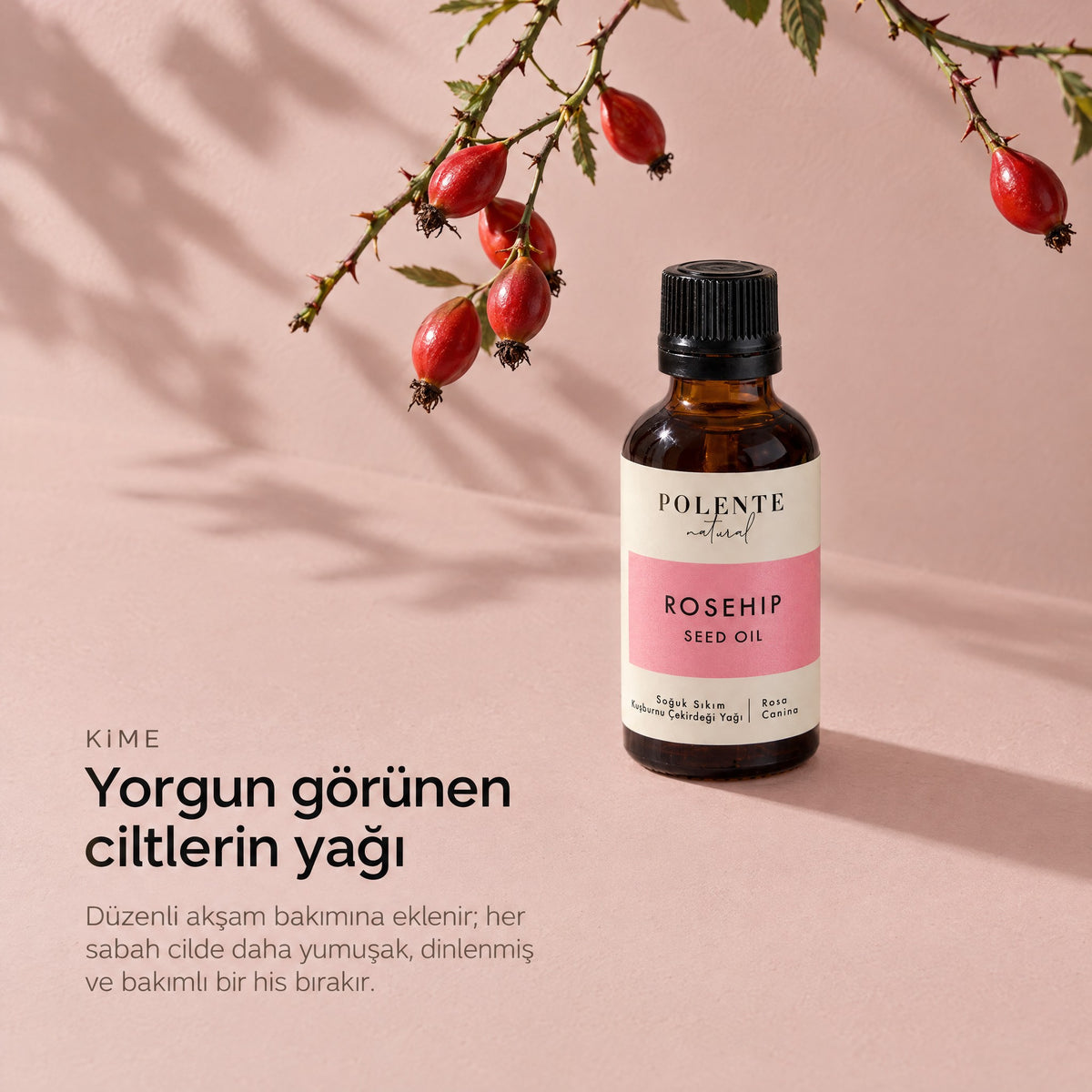 Kuşburnu Çekirdeği Yağı 50 ml — yorgun görünen ciltlerin yağı