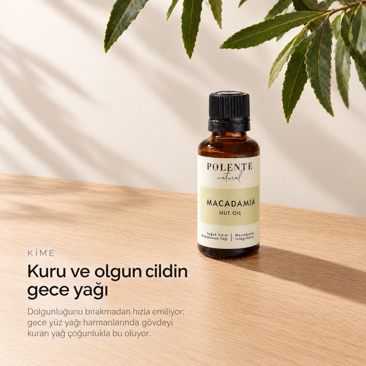 Makademya Cevizi Yağı 30 ml — kuru ve olgun cildin gece yağı, makademya dalıyla