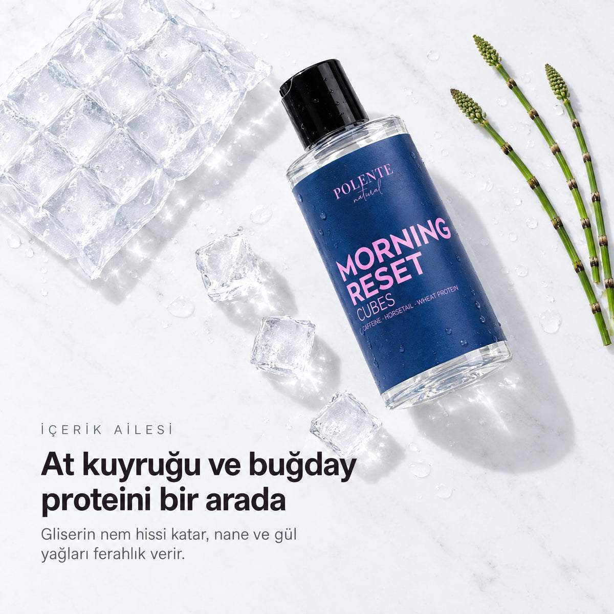 Morning Reset Cubes 200 ml — at kuyruğu ve buğday proteini, buz poşeti ile