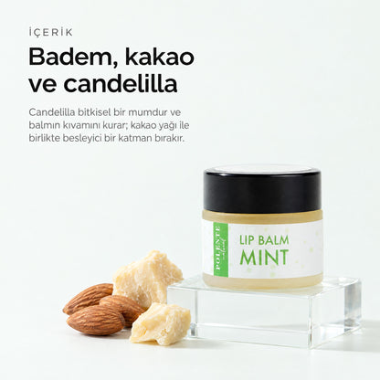 Naneli Lip Balm 10 ml — Badem, kakao ve candelilla