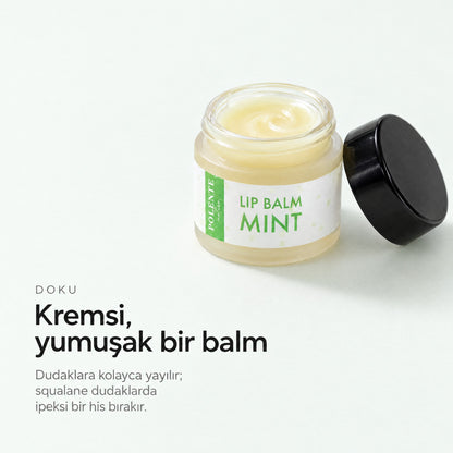 Naneli Lip Balm 10 ml — Kremsi, yumuşak bir balm