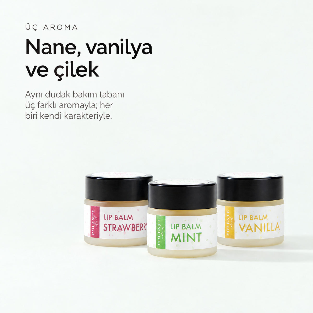 Naneli Lip Balm 10 ml — Nane, vanilya ve çilek