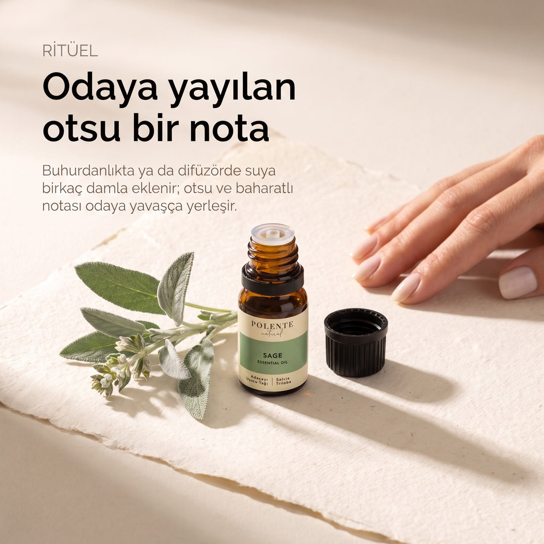 Adaçayı uçucu yağı ritüel