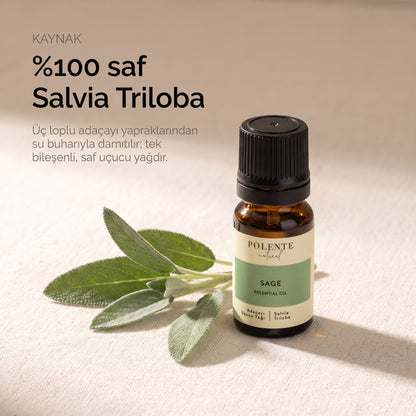%100 saf Salvia Triloba