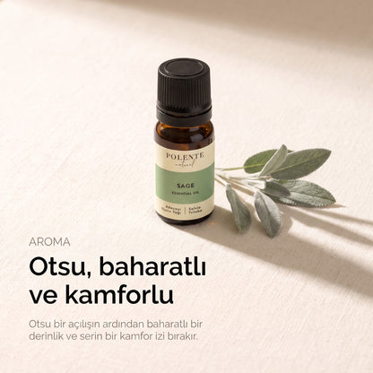Otsu, baharatlı ve kamforlu