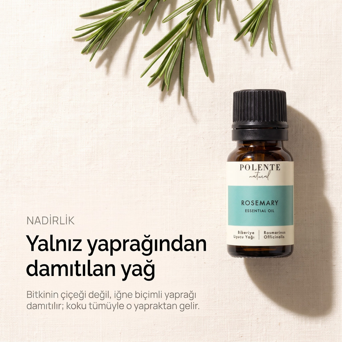 Yalnız yaprağından damıtılan yağ