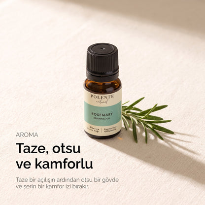 Taze, otsu ve kamforlu