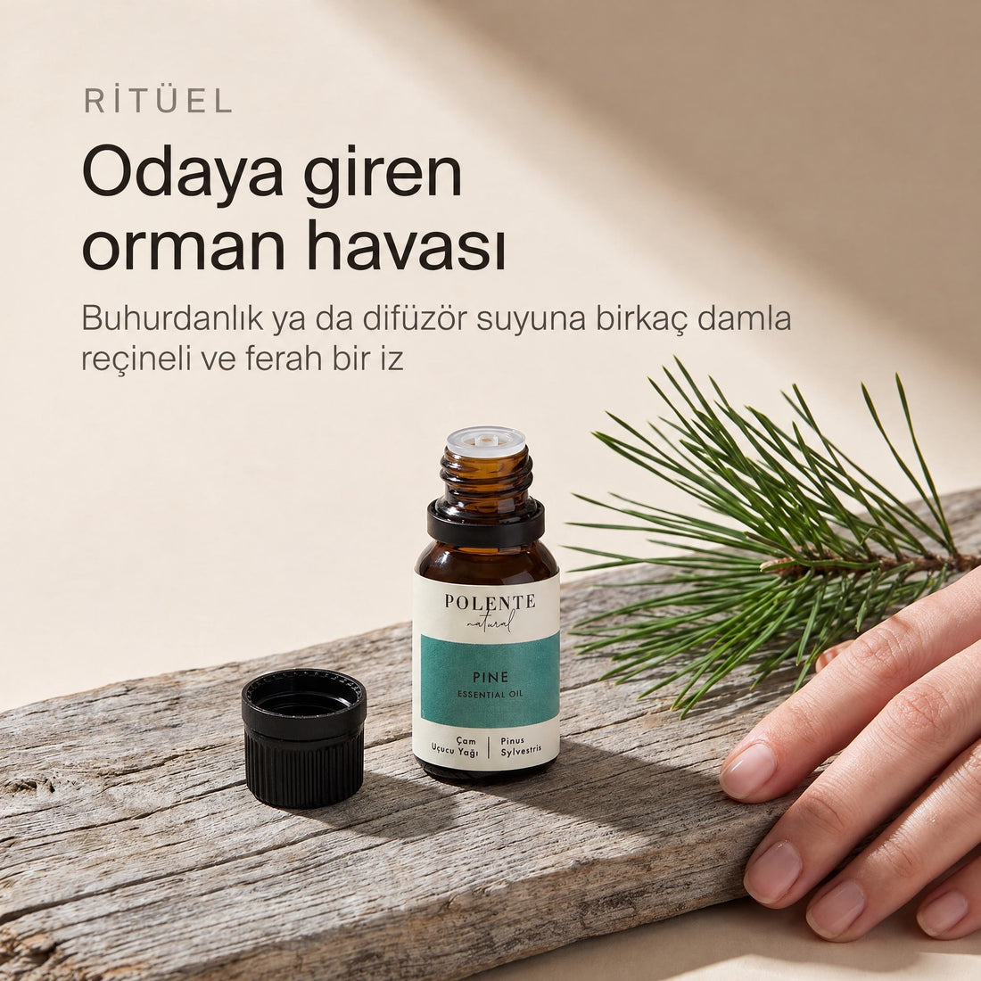 Çam uçucu yağı ritüel
