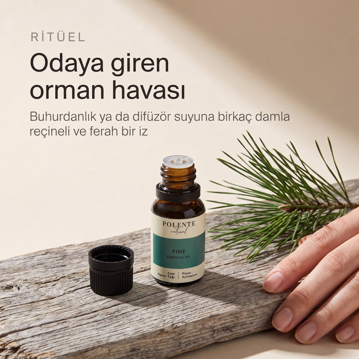 Çam uçucu yağı ritüel