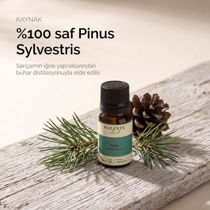 %100 saf Pinus Sylvestris