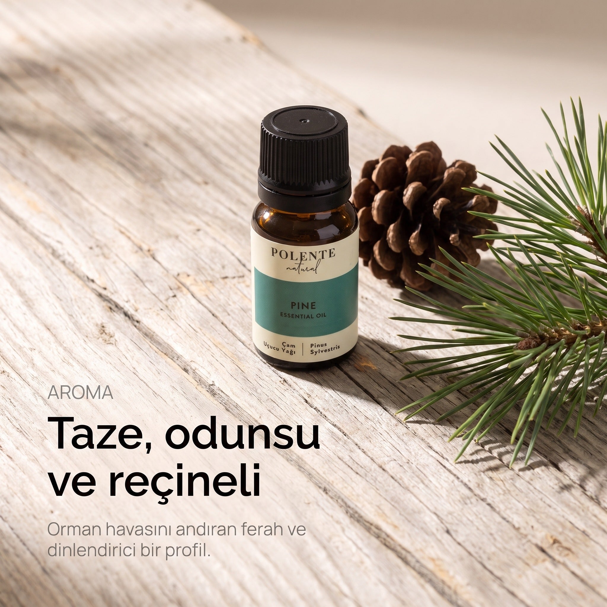 Taze, odunsu ve reçineli