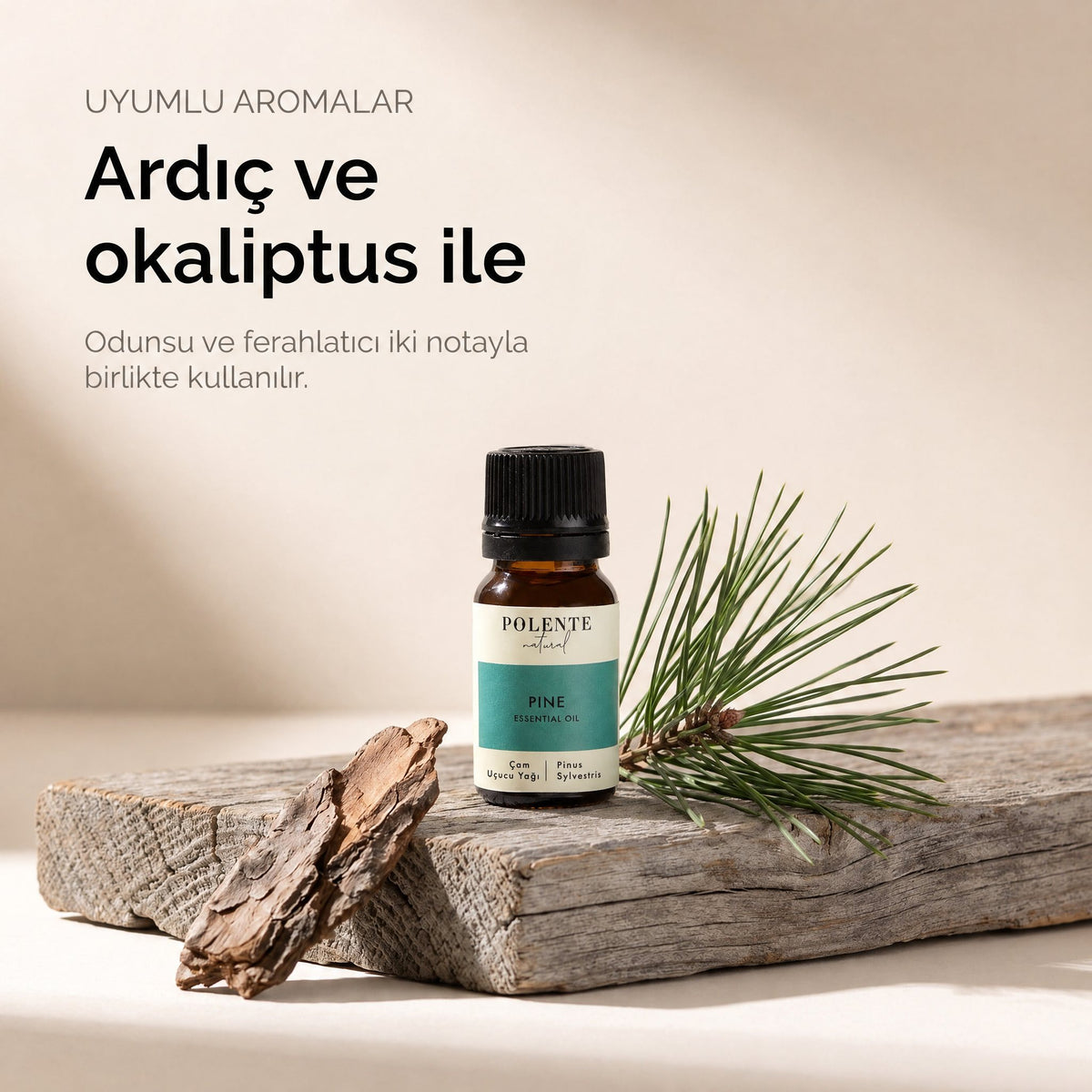 Ardıç ve okaliptus ile