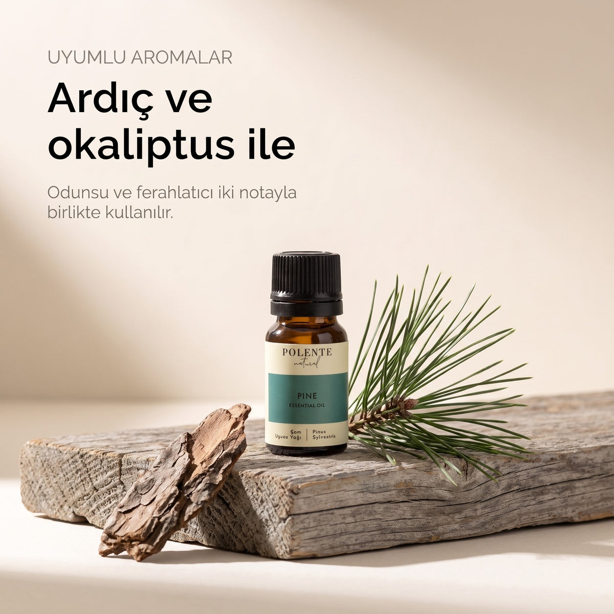Ardıç ve okaliptus ile