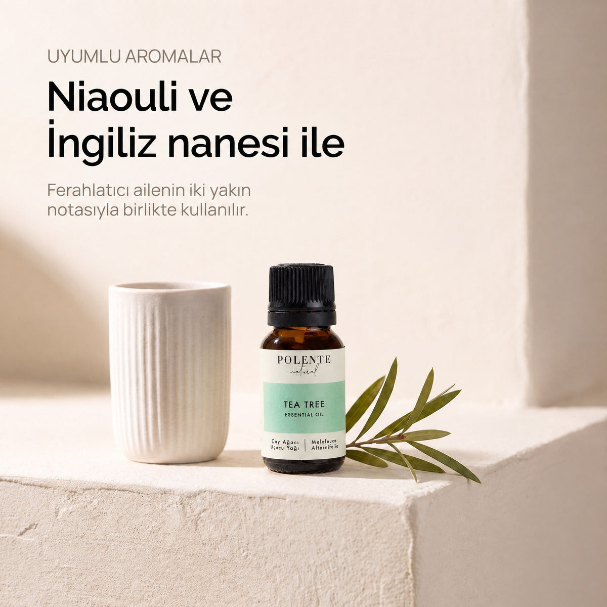 Niaouli ve İngiliz nanesi ile