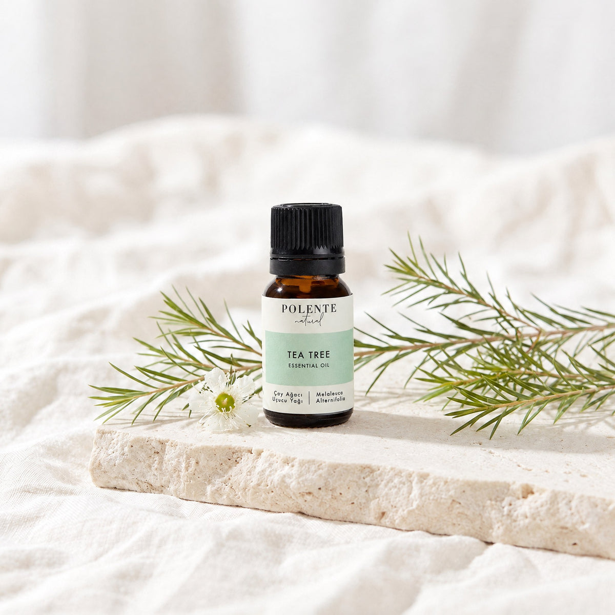 Çay Ağacı Uçucu Yağı 10 ml — çay ağacı yaprakları ve çiçeğiyle botanik konsept görseli