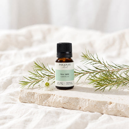 Çay Ağacı Uçucu Yağı 10 ml — çay ağacı yaprakları ve çiçeğiyle botanik konsept görseli