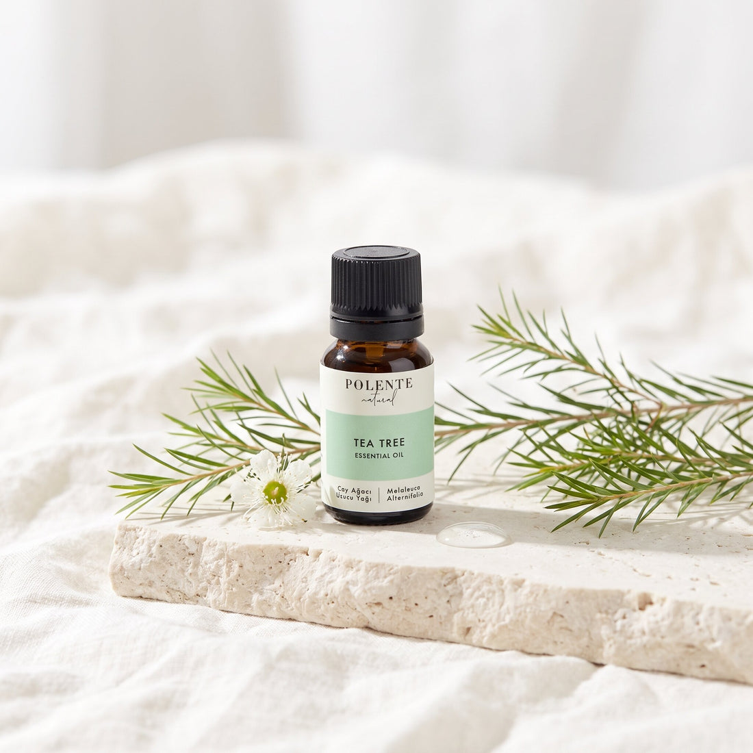 Çay Ağacı Uçucu Yağı 10 ml — çay ağacı yaprakları ve çiçeğiyle botanik konsept görseli
