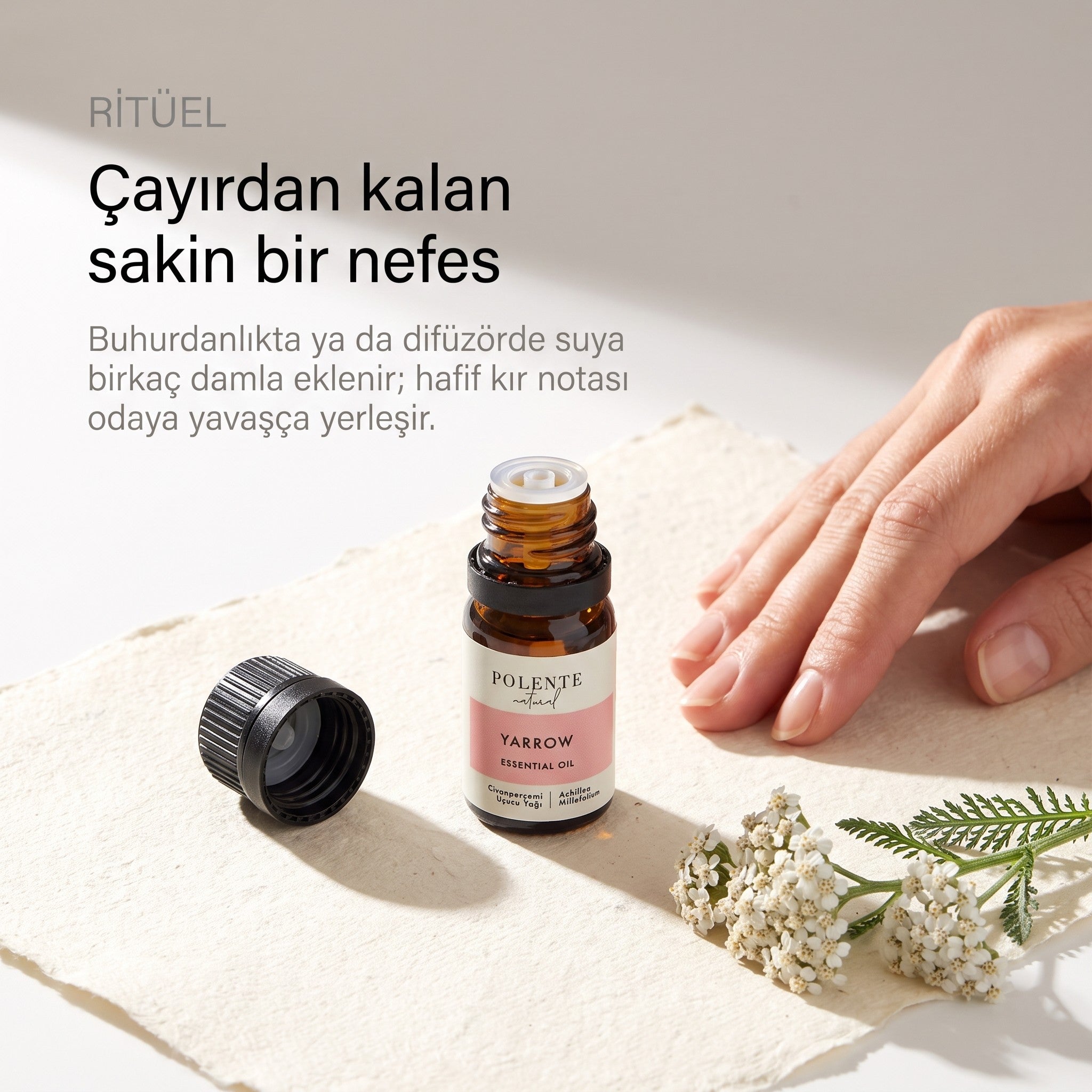 Civanperçemi uçucu yağı 5 ml — buhurdanlıkta ritüel