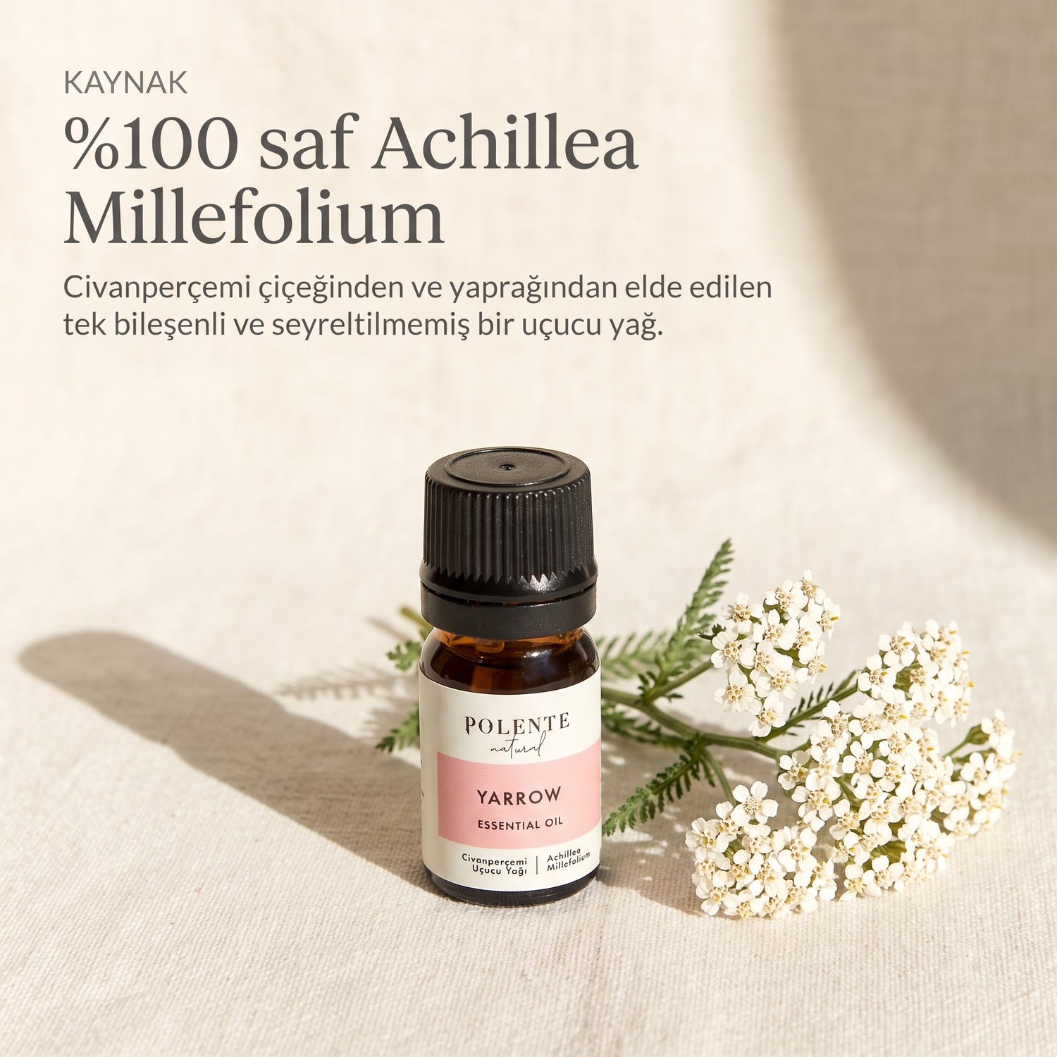 %100 saf Achillea Millefolium civanperçemi uçucu yağı