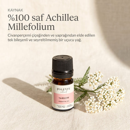 %100 saf Achillea Millefolium civanperçemi uçucu yağı