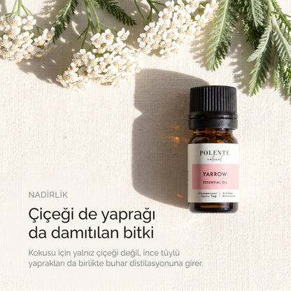 Civanperçeminin çiçeği ve ince tüylü yaprakları